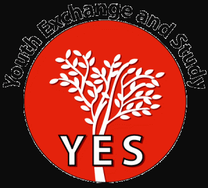 logo YES