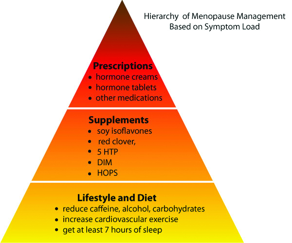 Skematik penatalaksanaan gangguan menopause