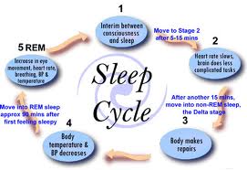 Tahapan Tidur Menurut Neurosains
