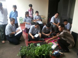 Mahasiswa Rumah Kampus belajar menanam sayur mayur organik